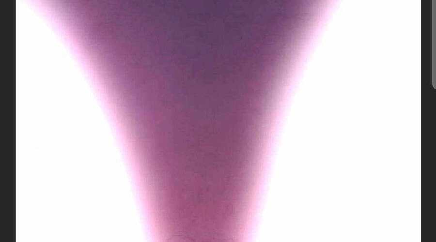 Đao Hoàng Tứ Thiếu Gia Chapter 27 - 288