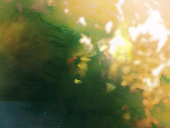 Các Nữ Anh Hùng Muốn Giết Tôi, Một Anh Hùng Chapter 47 - 102