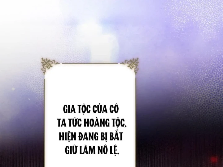 Các Nữ Anh Hùng Muốn Giết Tôi, Một Anh Hùng Chapter 47 - 228