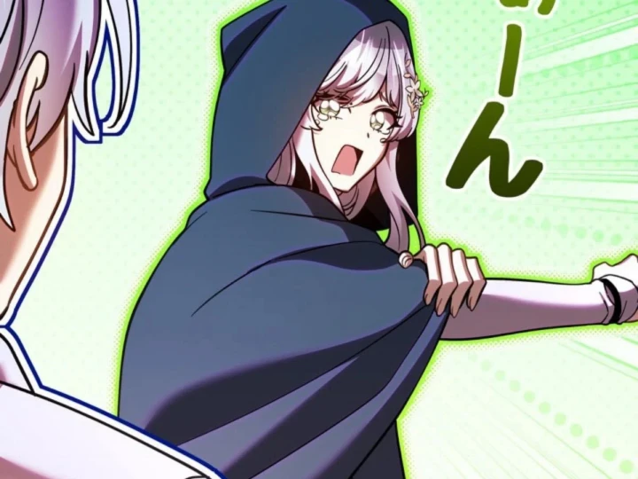 Các Nữ Anh Hùng Muốn Giết Tôi, Một Anh Hùng Chapter 49 - 12