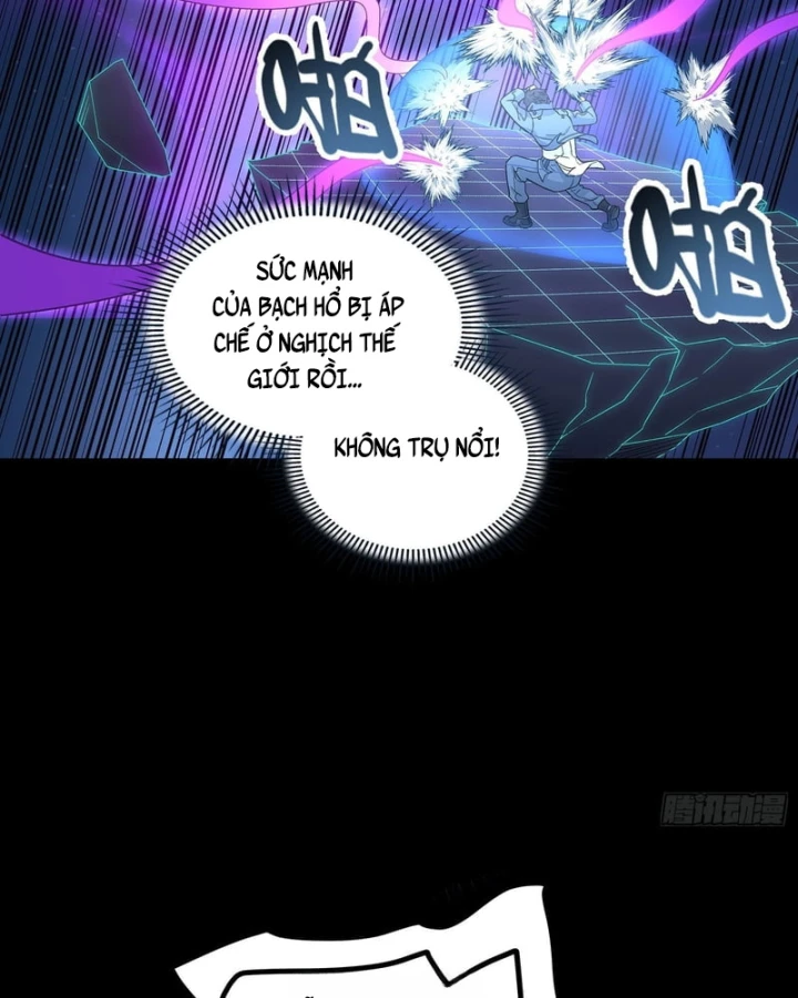 Cương Thiết Khế Ước Chapter 65 - 16