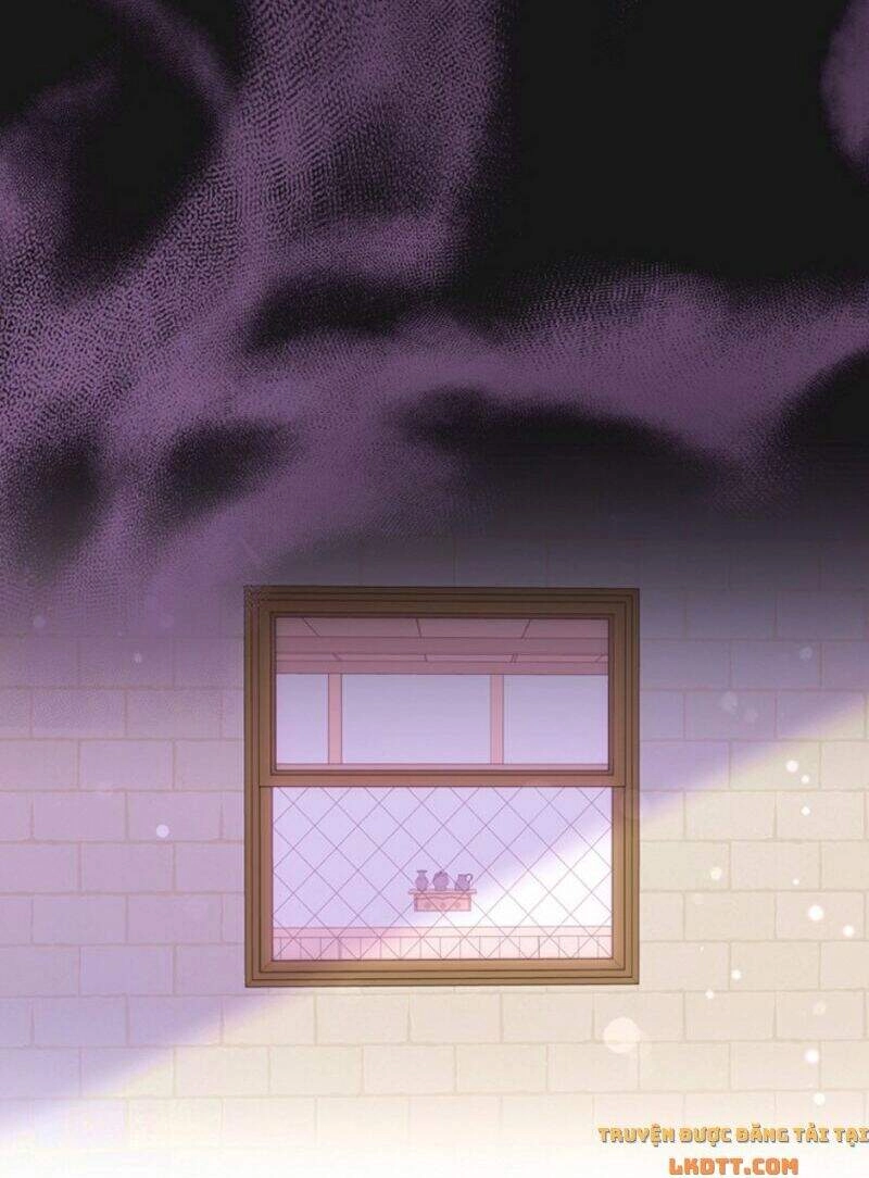 Yêu Tôi Đi, Dù Sao Ngài Cũng Chỉ Là Nhân Vật Phụ Chapter 3 - 82