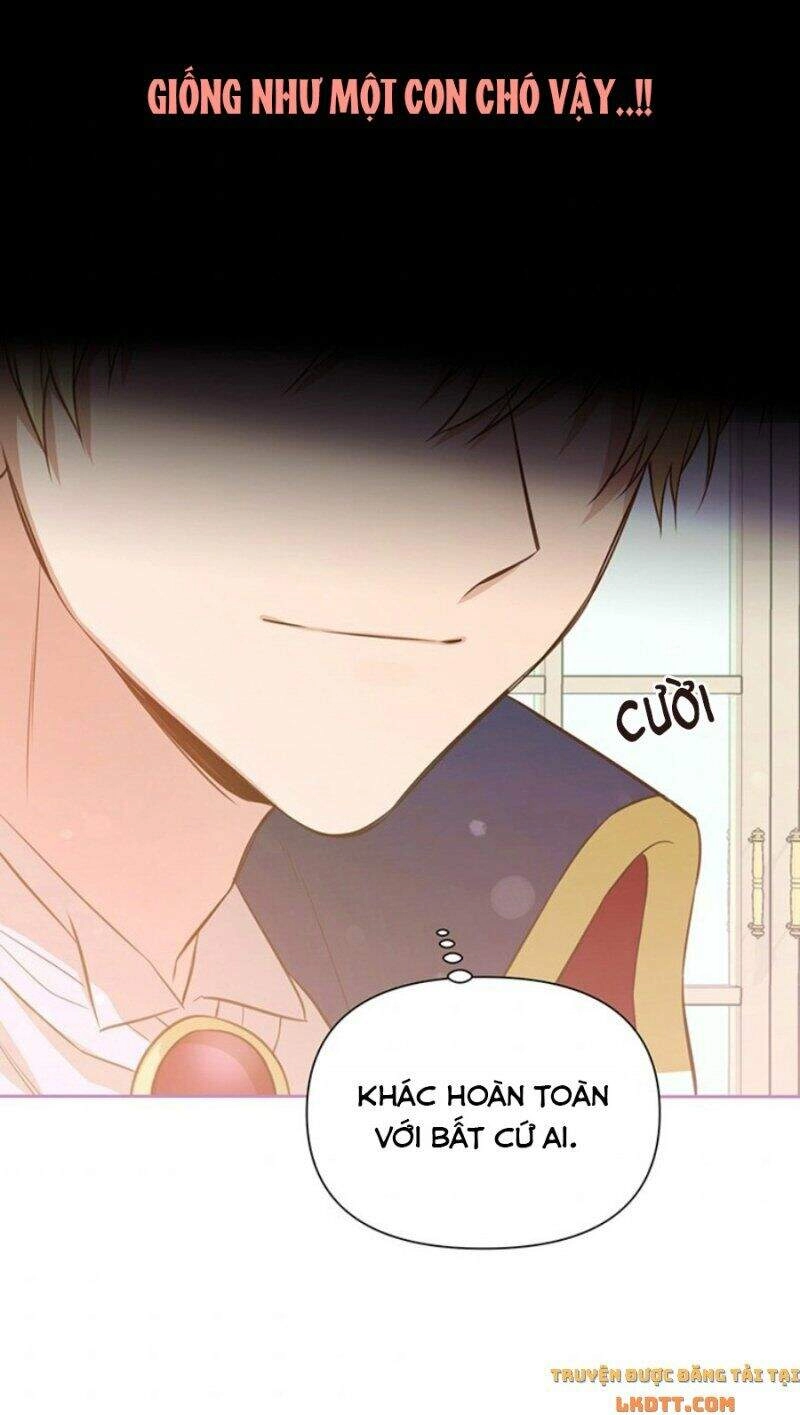 Yêu Tôi Đi, Dù Sao Ngài Cũng Chỉ Là Nhân Vật Phụ Chapter 5 - 66