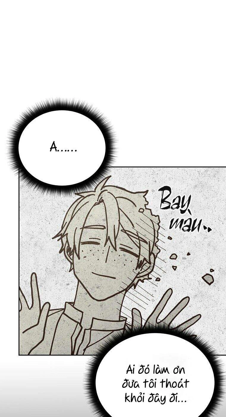 Yêu Tôi Đi, Dù Sao Ngài Cũng Chỉ Là Nhân Vật Phụ Chapter 24 - 71