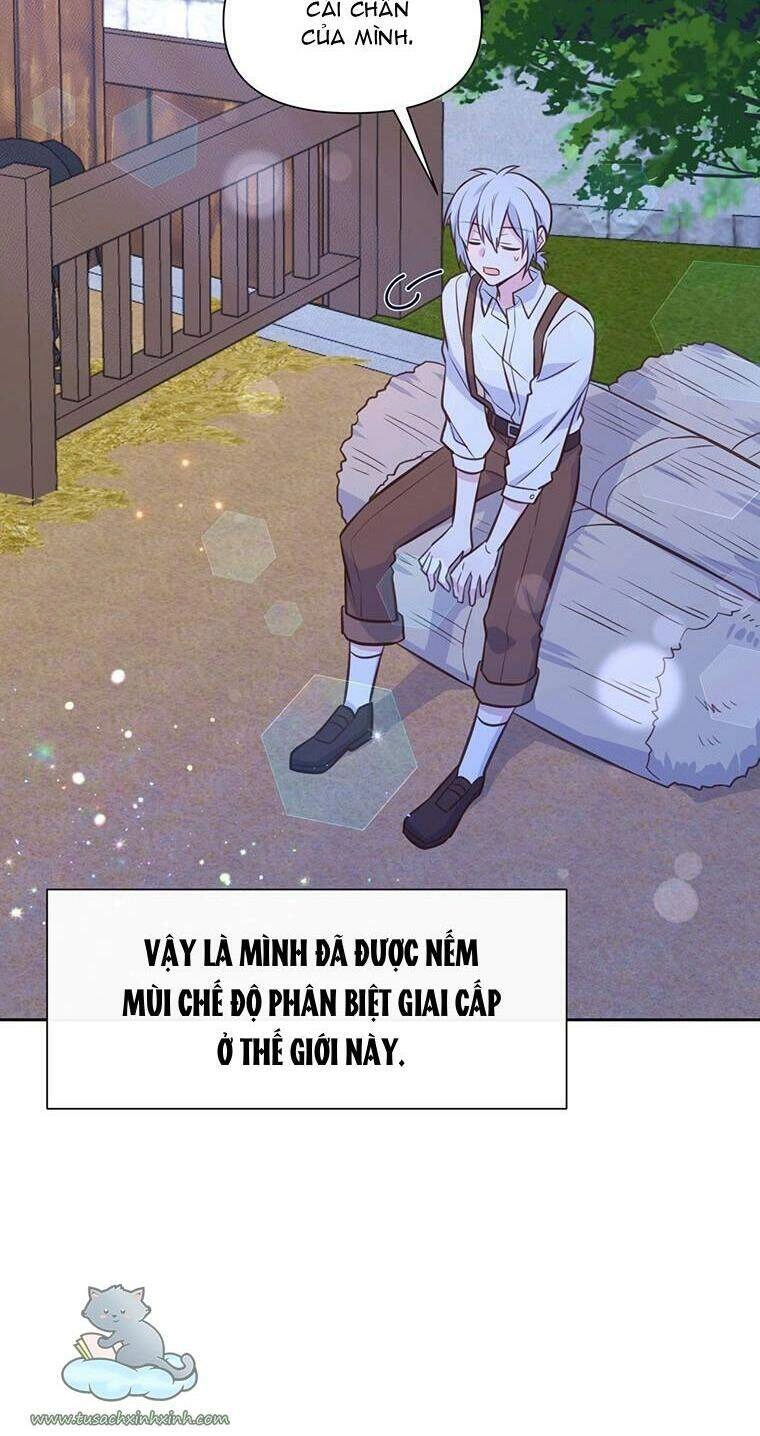 Yêu Tôi Đi, Dù Sao Ngài Cũng Chỉ Là Nhân Vật Phụ Chapter 25 - 61