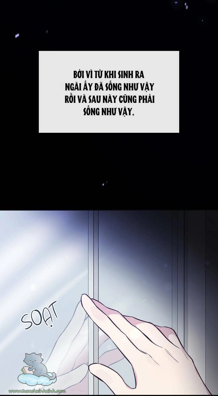 Yêu Tôi Đi, Dù Sao Ngài Cũng Chỉ Là Nhân Vật Phụ Chapter 30 - 58