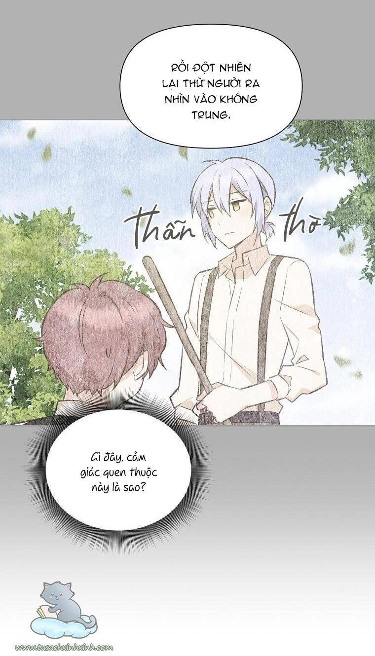 Yêu Tôi Đi, Dù Sao Ngài Cũng Chỉ Là Nhân Vật Phụ Chapter 31 - 15