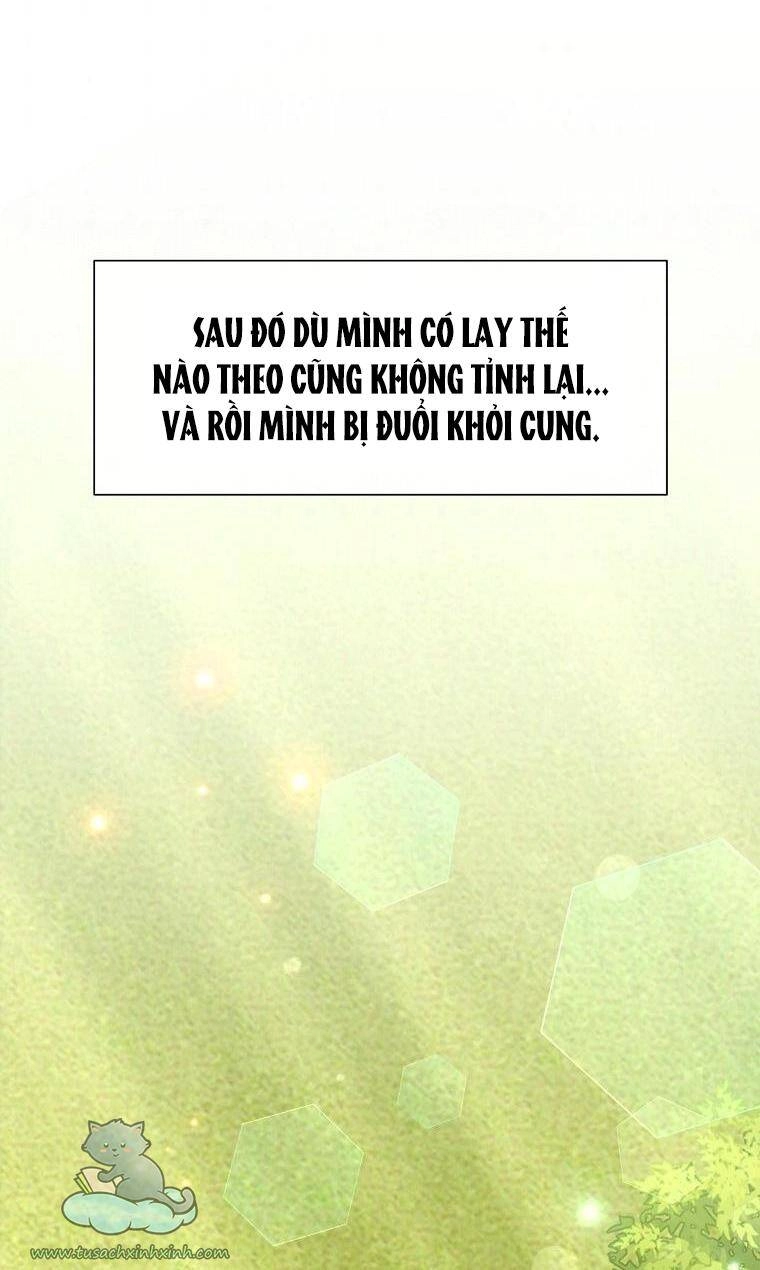 Yêu Tôi Đi, Dù Sao Ngài Cũng Chỉ Là Nhân Vật Phụ Chapter 33 - 69