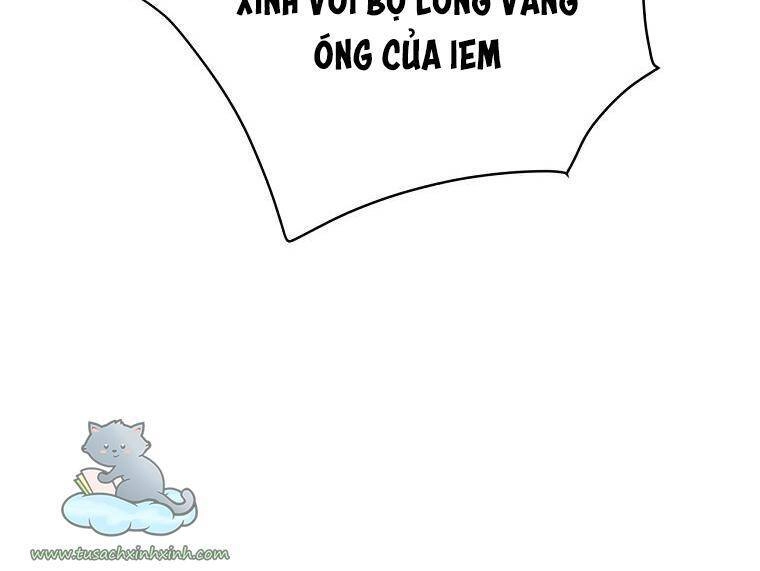 Yêu Tôi Đi, Dù Sao Ngài Cũng Chỉ Là Nhân Vật Phụ Chapter 34 - 93