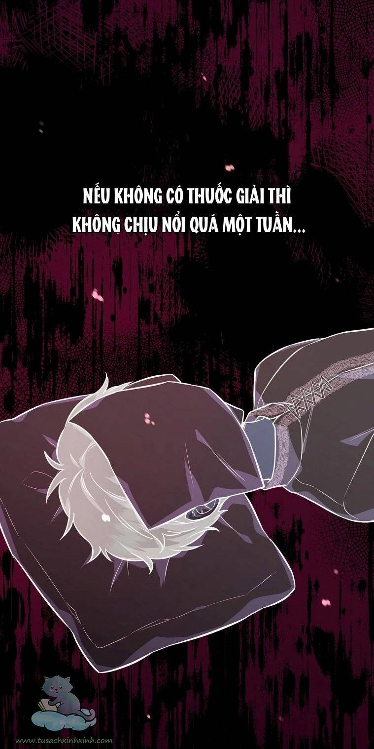 Yêu Tôi Đi, Dù Sao Ngài Cũng Chỉ Là Nhân Vật Phụ Chapter 36 - 17