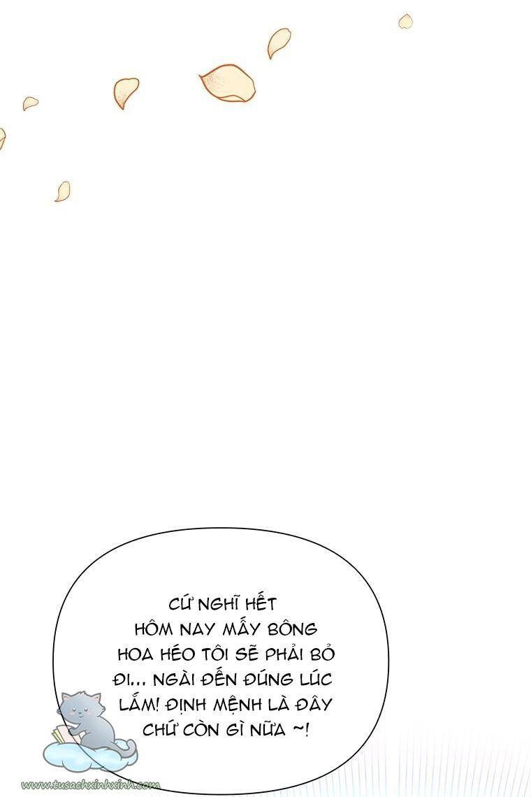 Yêu Tôi Đi, Dù Sao Ngài Cũng Chỉ Là Nhân Vật Phụ Chapter 39 - 78