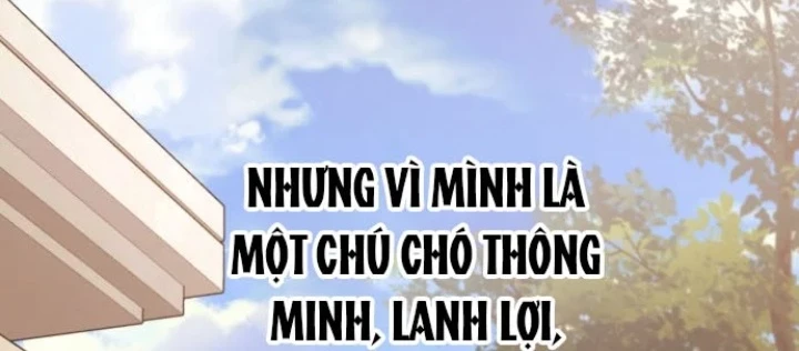 Thiên Tài Bình Dị Chapter 52 - 12