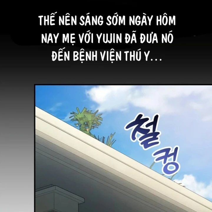 Thiên Tài Bình Dị Chapter 65 - 74