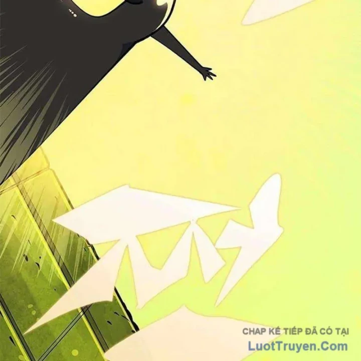 Tôi Chỉ Là Người Khuân Vác Trong Hầm Ngục Chapter 28 - 178