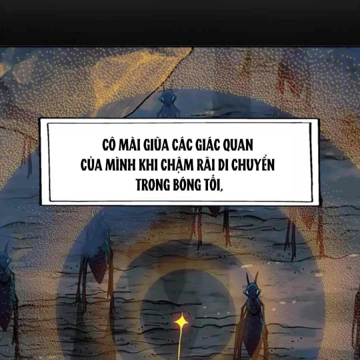 Tôi Chỉ Là Người Khuân Vác Trong Hầm Ngục Chapter 33 - 86