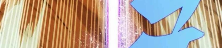 Tôi Chỉ Là Người Khuân Vác Trong Hầm Ngục Chapter 33 - 272