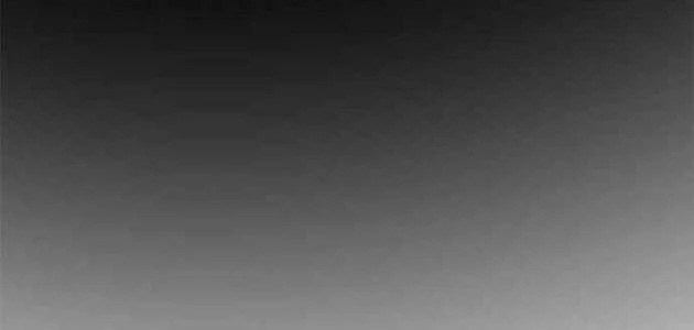 Tôi Chỉ Là Người Khuân Vác Trong Hầm Ngục Chapter 50 - 187