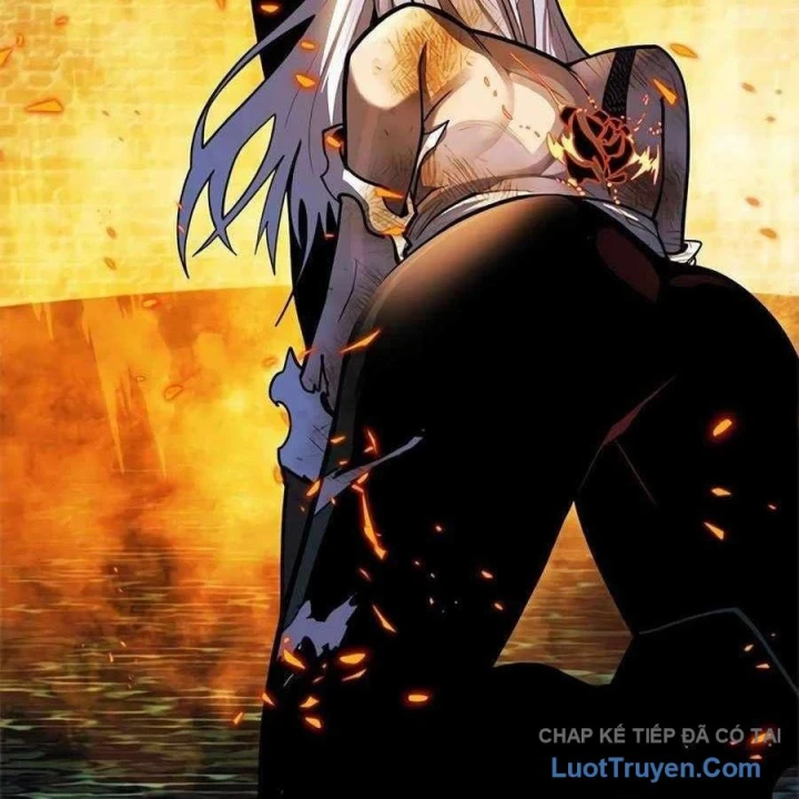 Tôi Chỉ Là Người Khuân Vác Trong Hầm Ngục Chapter 55 - 274