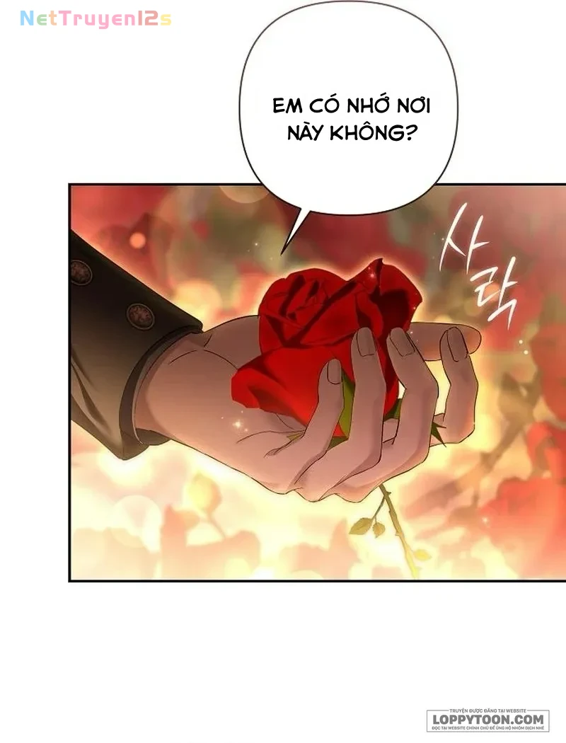 Presepe Bên Ngoài Chiếc Lồng Chapter 28 - 23
