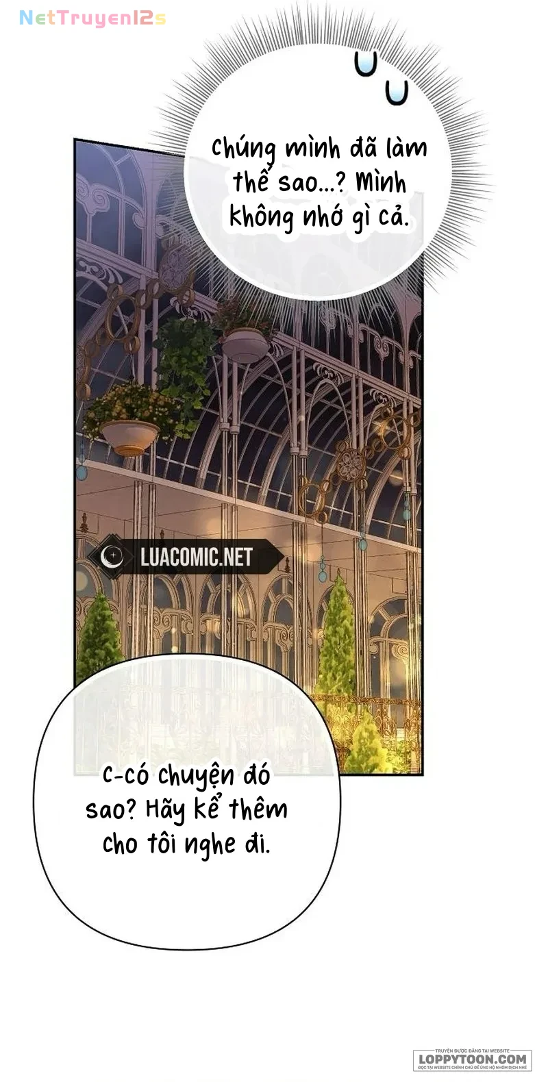 Presepe Bên Ngoài Chiếc Lồng Chapter 28 - 37