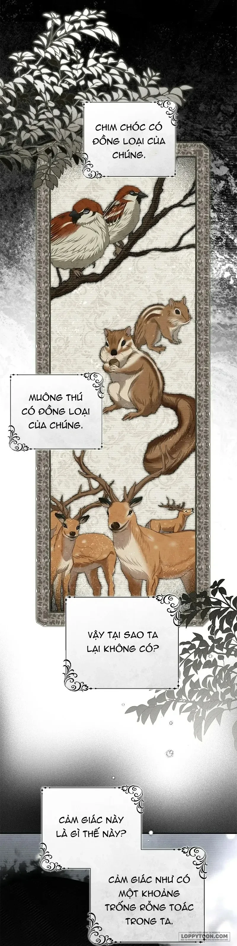 Presepe Bên Ngoài Chiếc Lồng Chapter 43 - 51