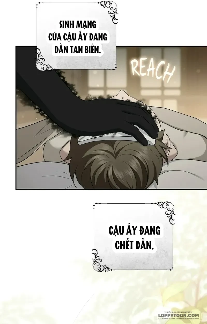 Presepe Bên Ngoài Chiếc Lồng Chapter 44 - 33