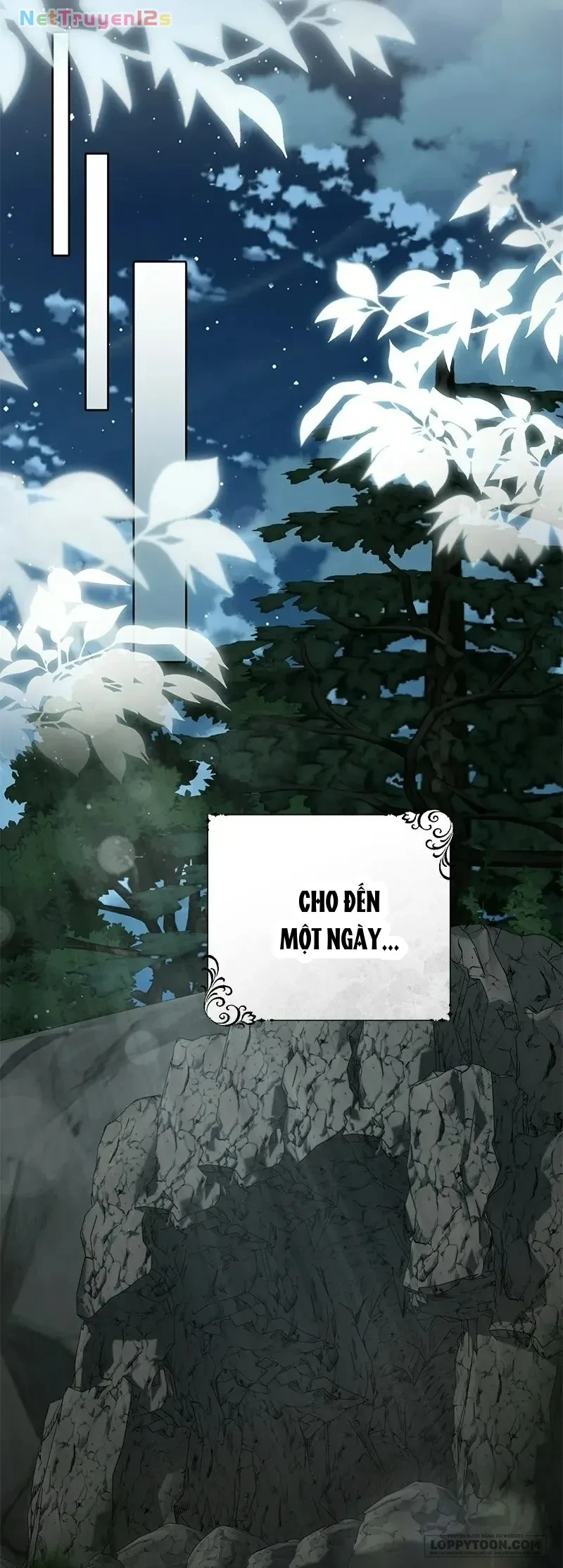 Presepe Bên Ngoài Chiếc Lồng Chapter 44 - 79
