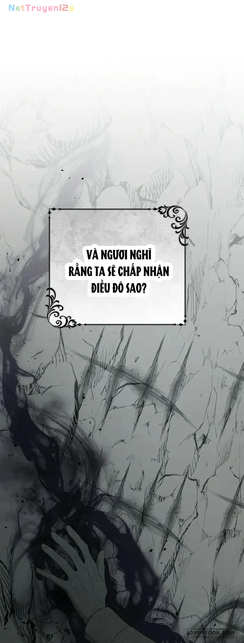 Presepe Bên Ngoài Chiếc Lồng Chapter 45 - 65