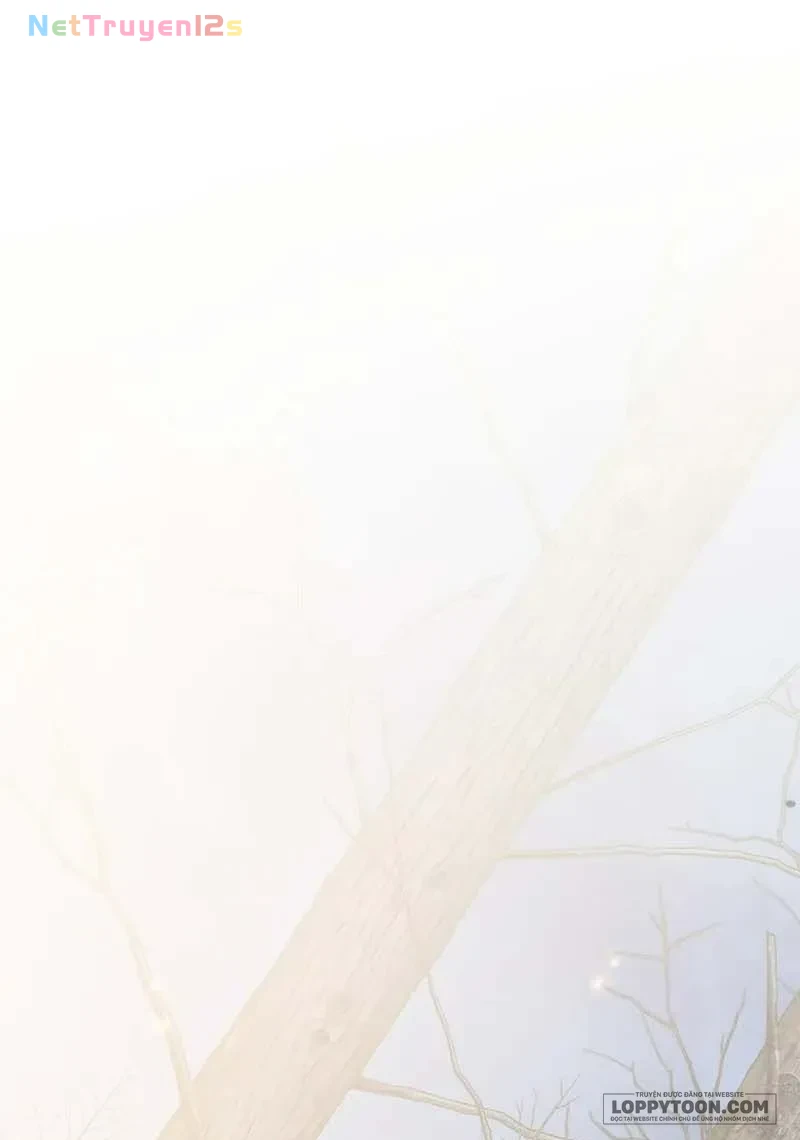 Presepe Bên Ngoài Chiếc Lồng Chapter 47 - 1