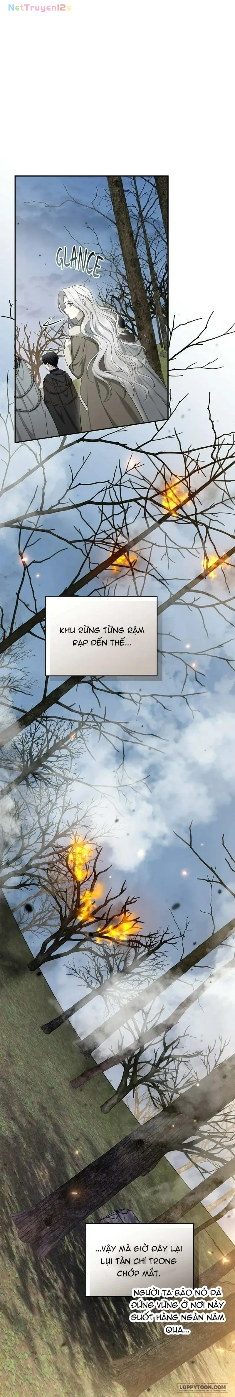 Presepe Bên Ngoài Chiếc Lồng Chapter 47 - 4