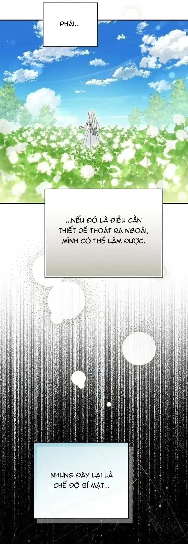 Presepe Bên Ngoài Chiếc Lồng Chapter 52 - 37