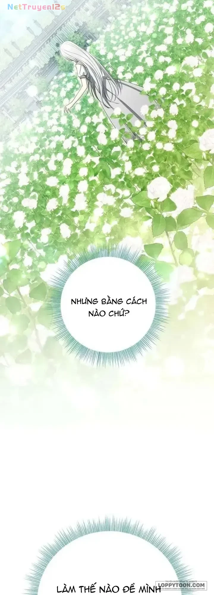 Presepe Bên Ngoài Chiếc Lồng Chapter 52 - 44