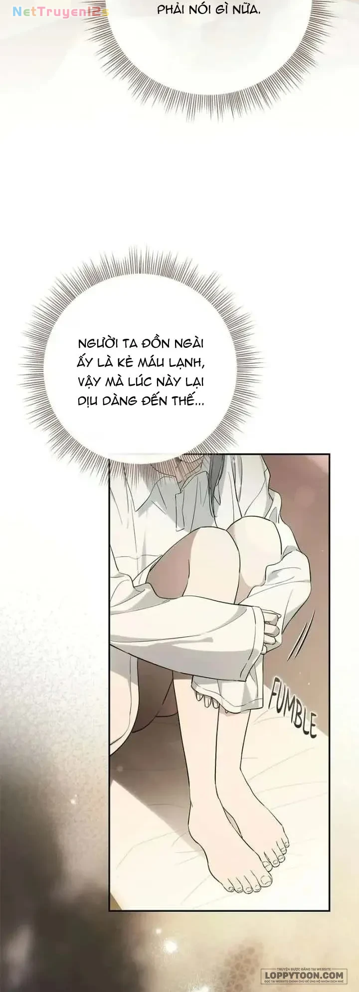 Presepe Bên Ngoài Chiếc Lồng Chapter 54 - 31