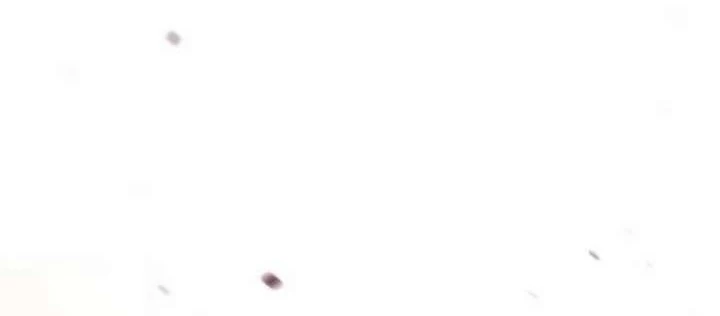 Cuộc Sống Học Đường Của Đội Trưởng Quận Chapter 42 - 12