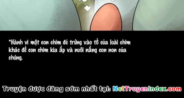 Cuộc Sống Học Đường Của Đội Trưởng Quận Chapter 44 - 146