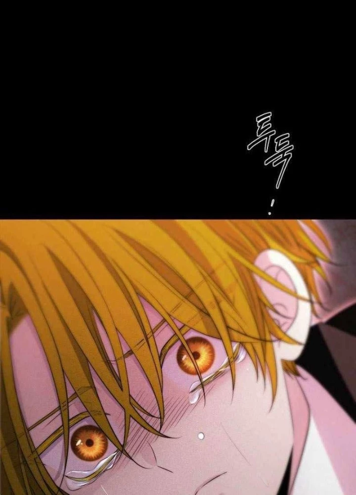 Ngục tối Black Haze Chapter 49 - 105