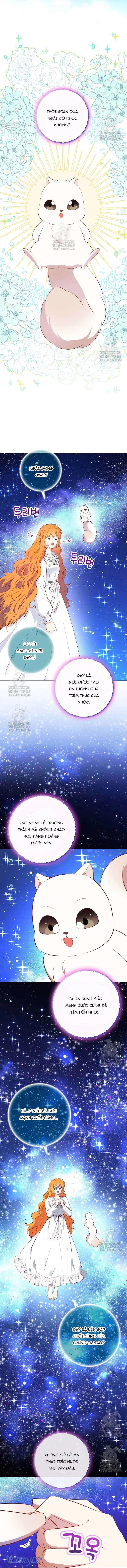 Sóc Con Tài Năng Chapter 122 - 12