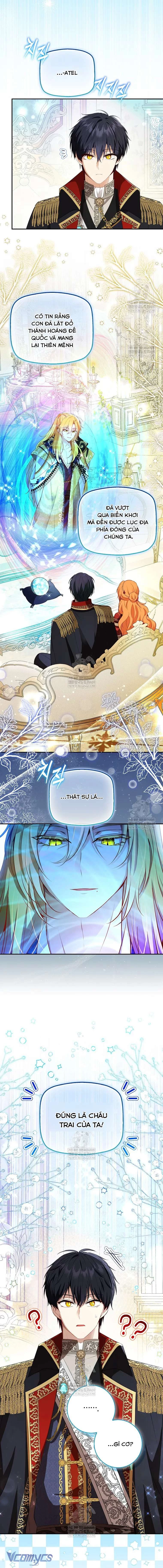 Sóc Con Tài Năng Chapter 126 - 6