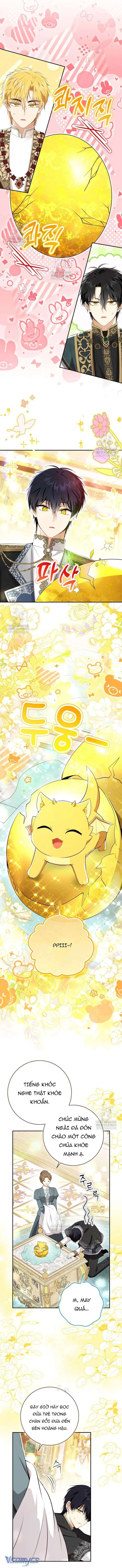 Sóc Con Tài Năng Chapter 128 - 7