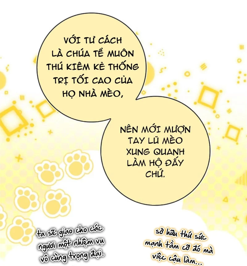 Sóc Con Tài Năng Chapter 133 - 51