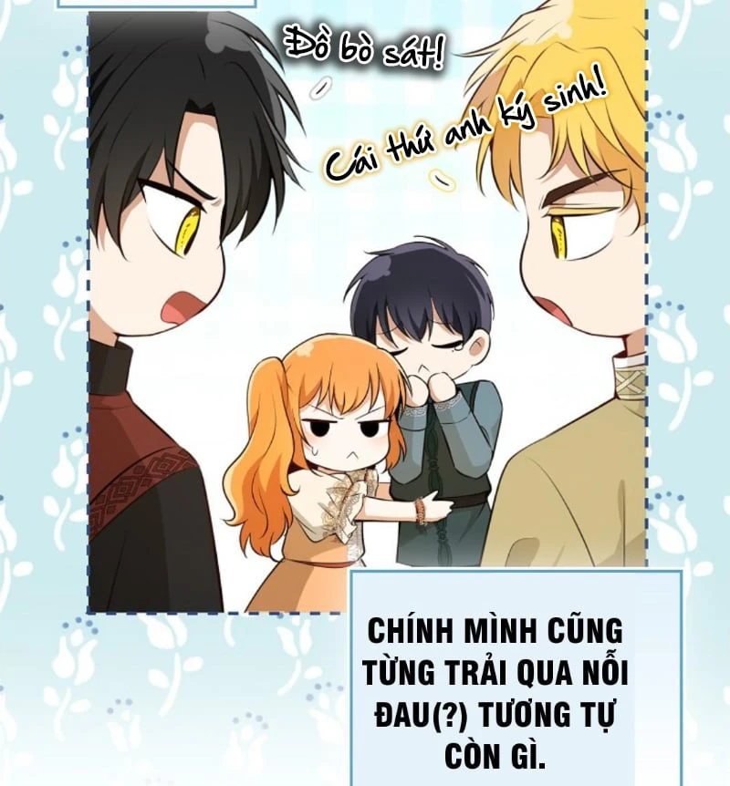 Sóc Con Tài Năng Chapter 133 - 98