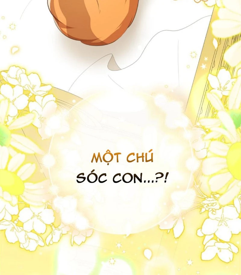 Sóc Con Tài Năng Chapter 136 - 129