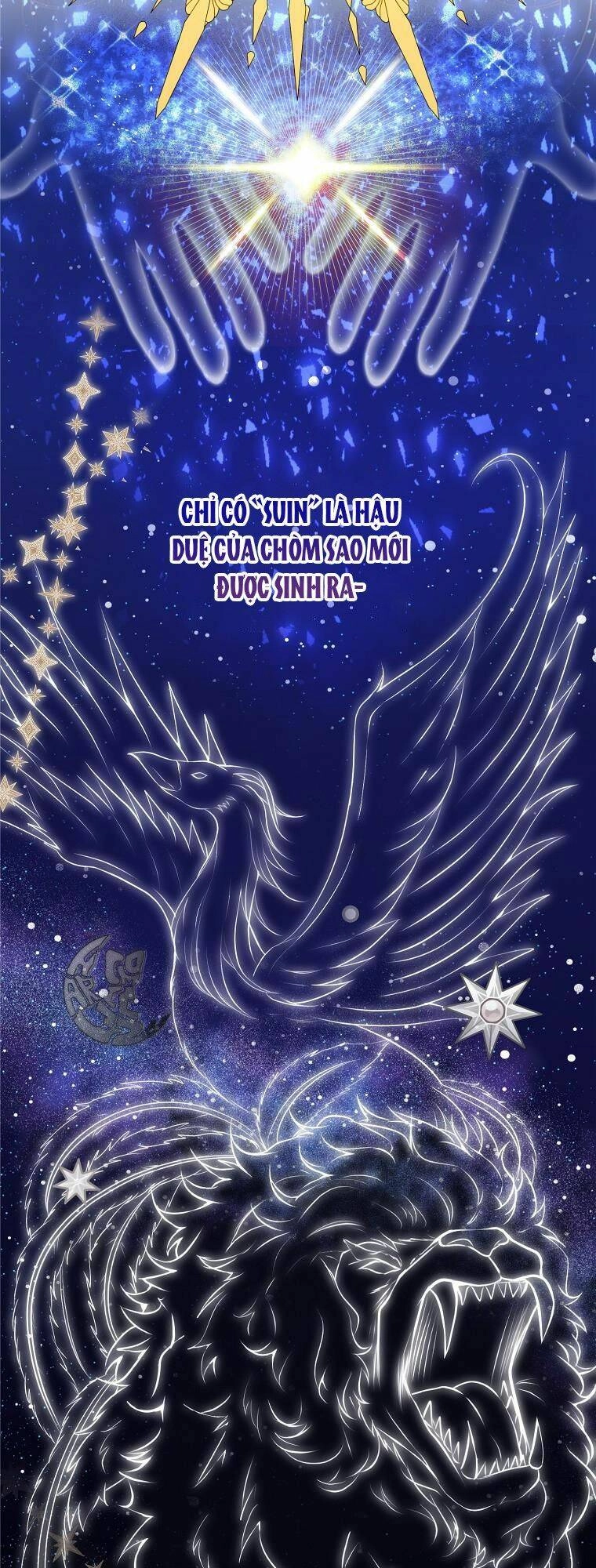 Sóc Con Tài Năng Chapter 1 - 42