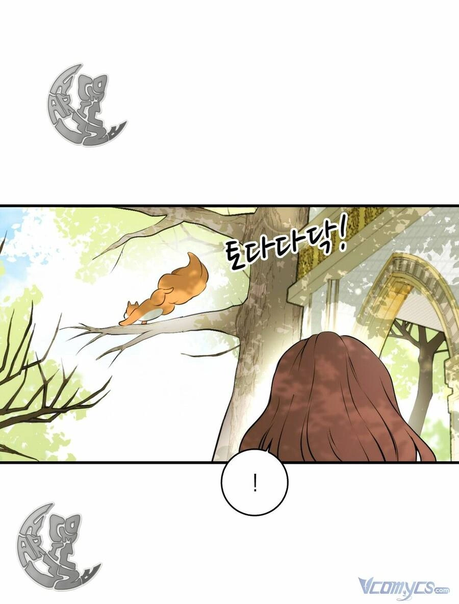 Sóc Con Tài Năng Chapter 2 - 72