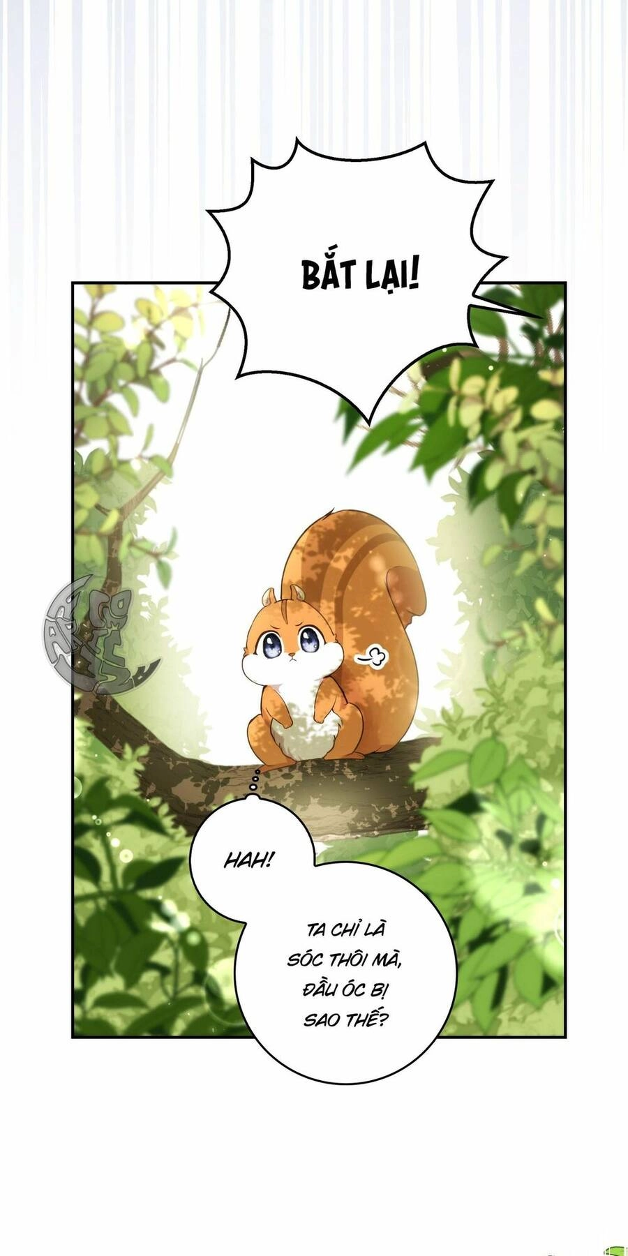 Sóc Con Tài Năng Chapter 2 - 76