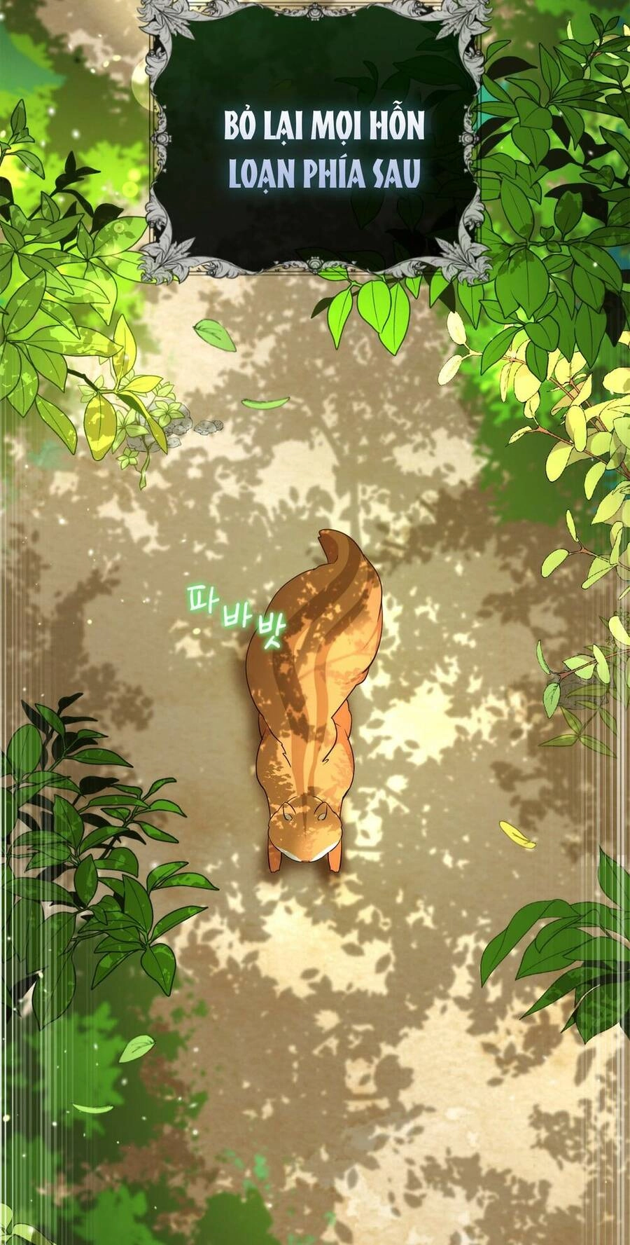 Sóc Con Tài Năng Chapter 2 - 79