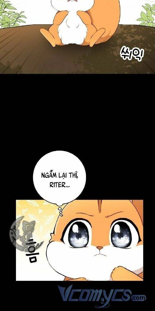 Sóc Con Tài Năng Chapter 3 - 15