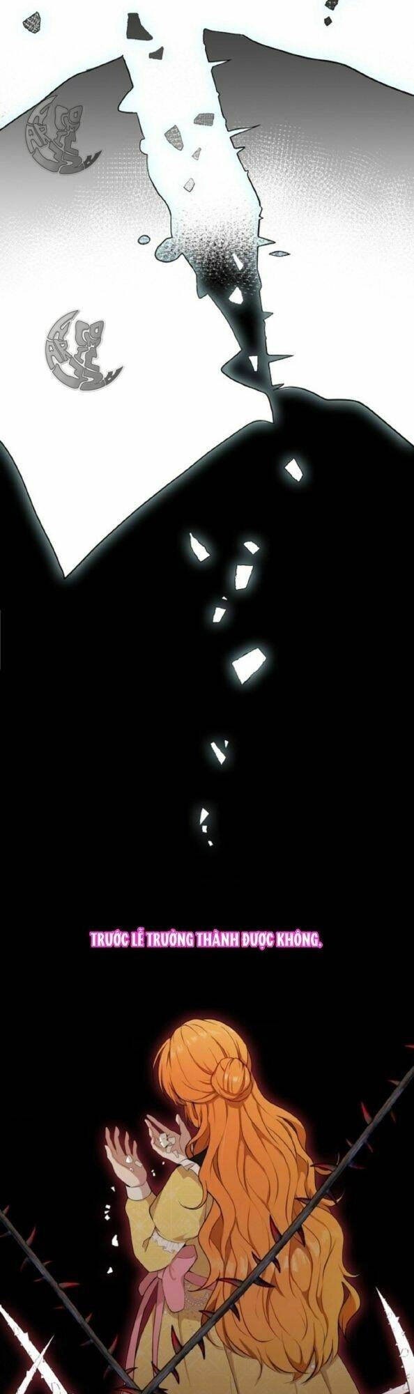 Sóc Con Tài Năng Chapter 3 - 28