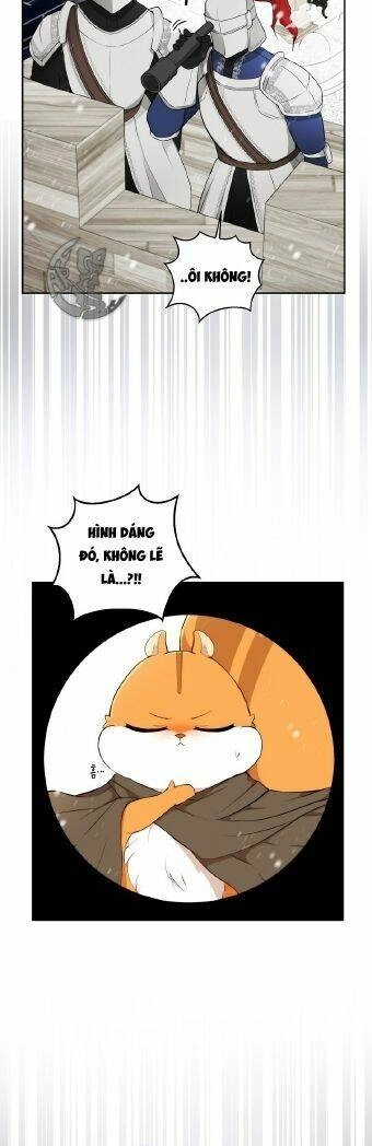 Sóc Con Tài Năng Chapter 3 - 35