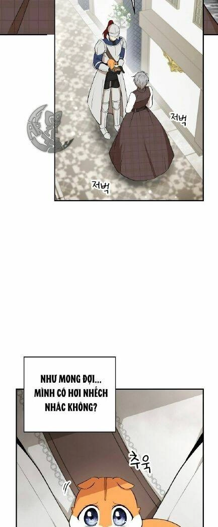 Sóc Con Tài Năng Chapter 3 - 44